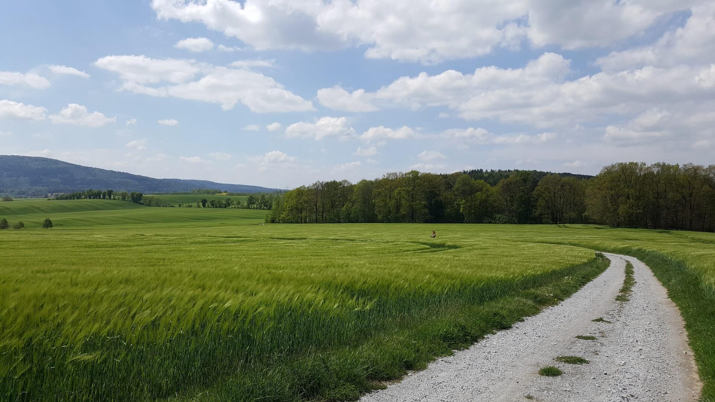 Der Oberlausitztrail