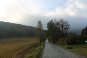 Großer Oberlausitzer 2019