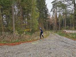 Kleiner Oberlausitzer 2019