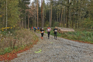 Kleiner Oberlausitzer 2019