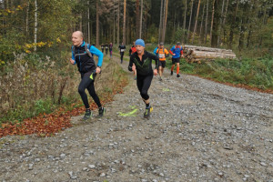 Kleiner Oberlausitzer 2019