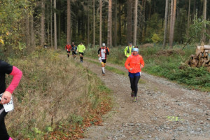 Kleiner Oberlausitzer 2019