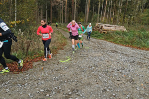 Kleiner Oberlausitzer 2019