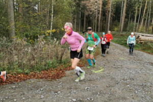 Kleiner Oberlausitzer 2019