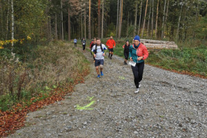 Kleiner Oberlausitzer 2019