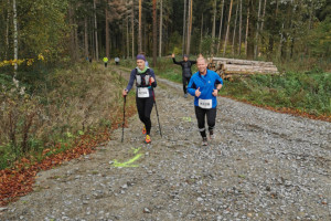 Kleiner Oberlausitzer 2019