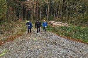 Kleiner Oberlausitzer 2019