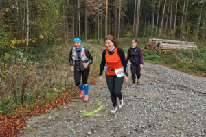 Kleiner Oberlausitzer 2019