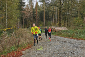 Kleiner Oberlausitzer 2019