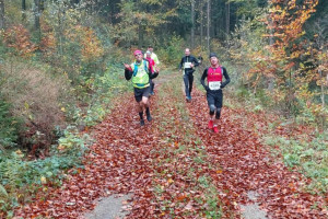 Kleiner Oberlausitzer 2019