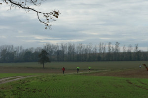 Kleiner Oberlausitzer 2019