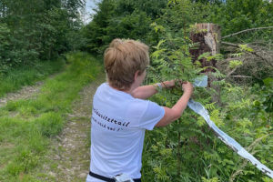 Impressionen 4. Oberlausitztrail