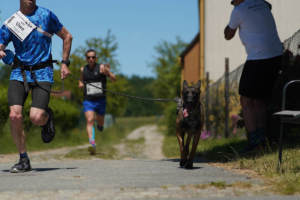 Impressionen 5. Oberlausitztrail