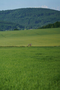 Impressionen 7. Oberlausitztrail