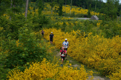 Impressionen 7. Oberlausitztrail
