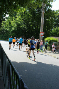 Impressionen 7. Oberlausitztrail (2/2)