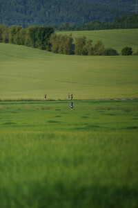 Impressionen 8. Oberlausitztrail