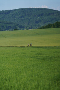 Impressionen 8. Oberlausitztrail