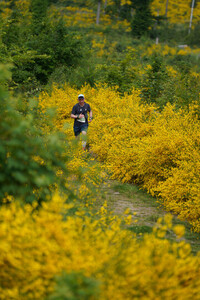 Impressionen 8. Oberlausitztrail